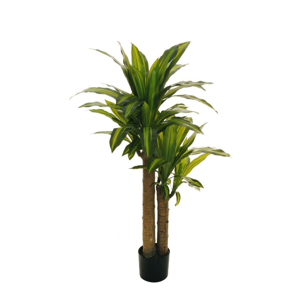 piante-cf-design-24-019